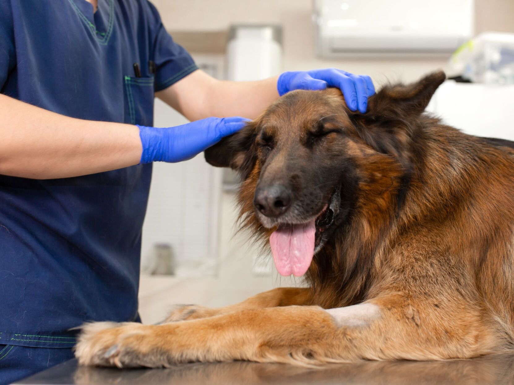 Pets and Cancer